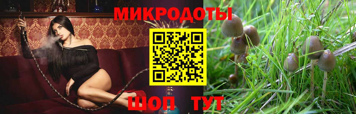 Дубна  Псилоцибиновые грибы Cubensis  Вход с VPN 